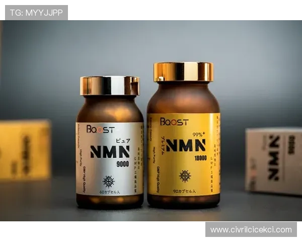 博思官网入口：快速进入博思官方网站获取全面产品信息